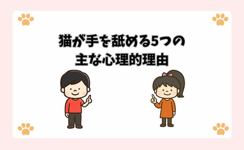 猫が手を舐める5つの主な心理的理由