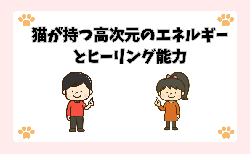 猫が持つ高次元のエネルギーとヒーリング能力