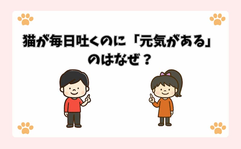 猫が毎日吐くのに「元気がある」のはなぜ？