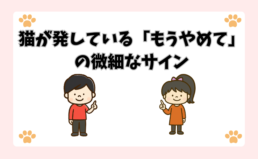 猫が発している「もうやめて」の微細なサイン