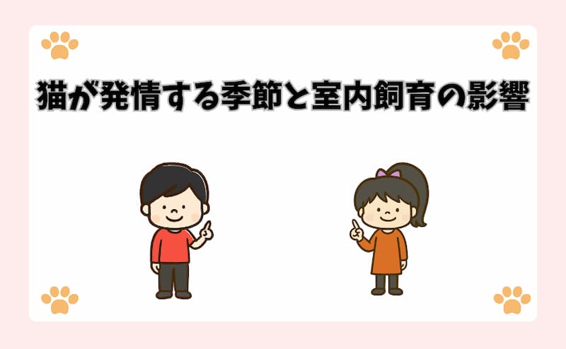 猫が発情する季節と室内飼育の影響