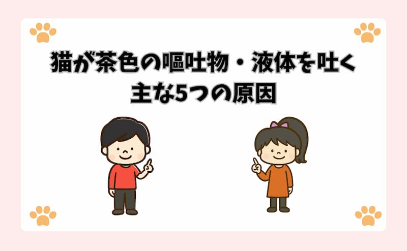 猫が茶色の嘔吐物・液体を吐く主な5つの原因