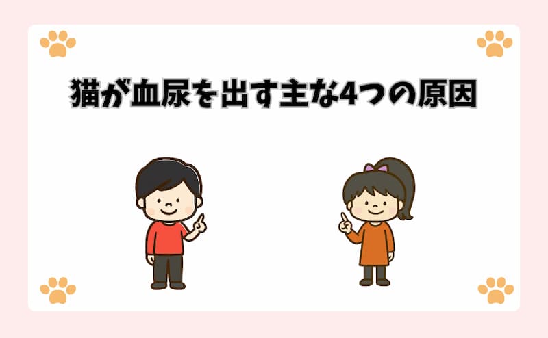 猫が血尿を出す主な4つの原因