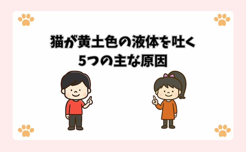猫が黄土色の液体を吐く5つの主な原因
