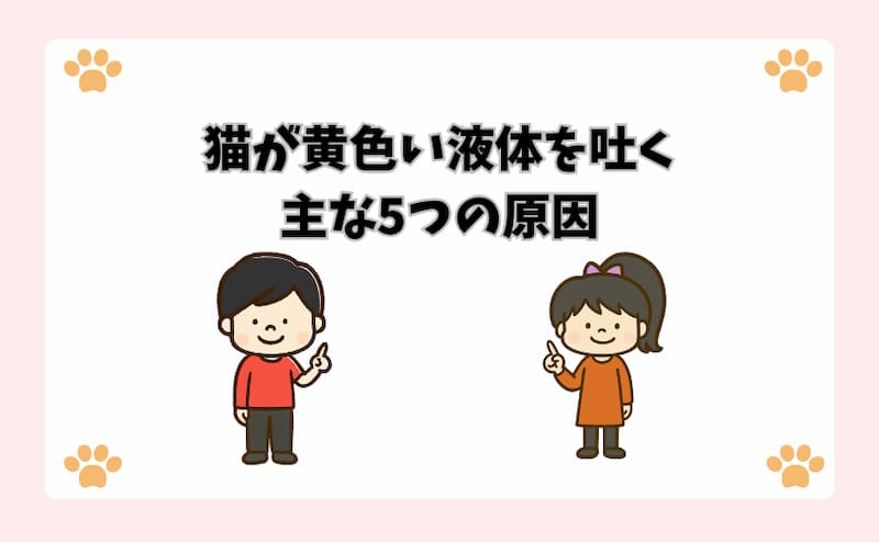 猫が黄色い液体を吐く主な5つの原因