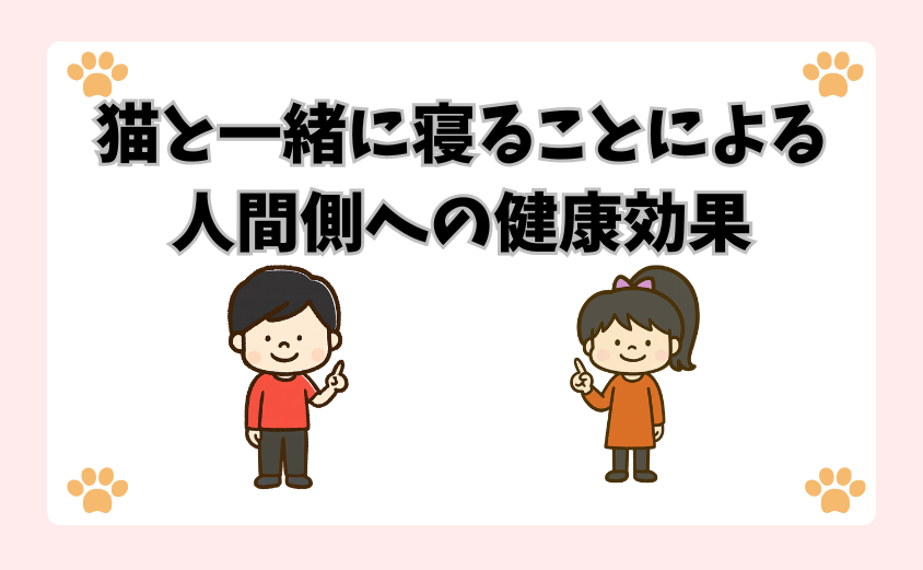 猫と一緒に寝ることによる人間側への健康効果