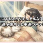 猫と一緒に寝るスピリチュアルな意味とは？愛猫が運ぶ癒やしと幸運のメッセージ