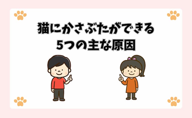 猫にかさぶたができる5つの主な原因