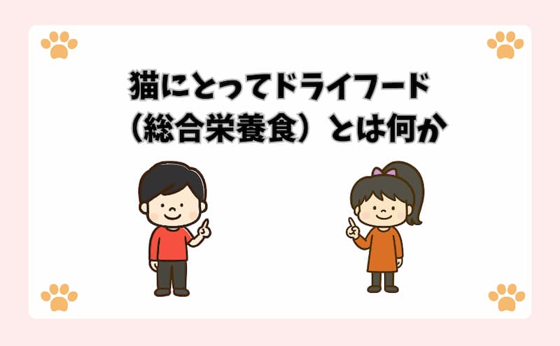 猫にとってドライフード（総合栄養食）とは何か