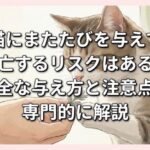 猫にまたたびを与えて死亡するリスクはある？安全な与え方と注意点を専門的に解説