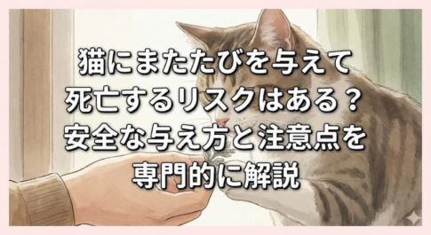 猫にまたたびを与えて死亡するリスクはある？安全な与え方と注意点を専門的に解説