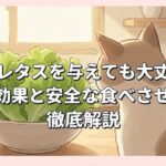 猫にレタスを与えても大丈夫？栄養効果と安全な食べさせ方を徹底解説