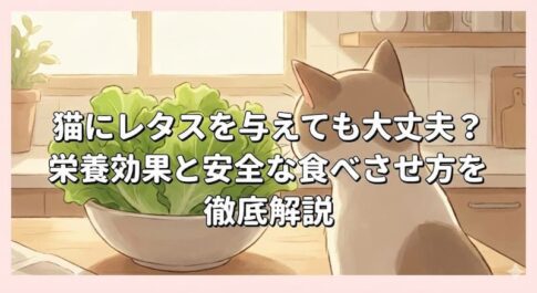猫にレタスを与えても大丈夫？栄養効果と安全な食べさせ方を徹底解説