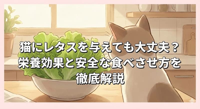 猫にレタスを与えても大丈夫？栄養効果と安全な食べさせ方を徹底解説