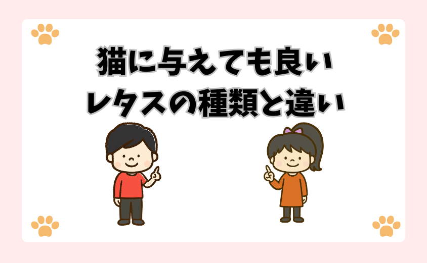 猫に与えても良いレタスの種類と違い