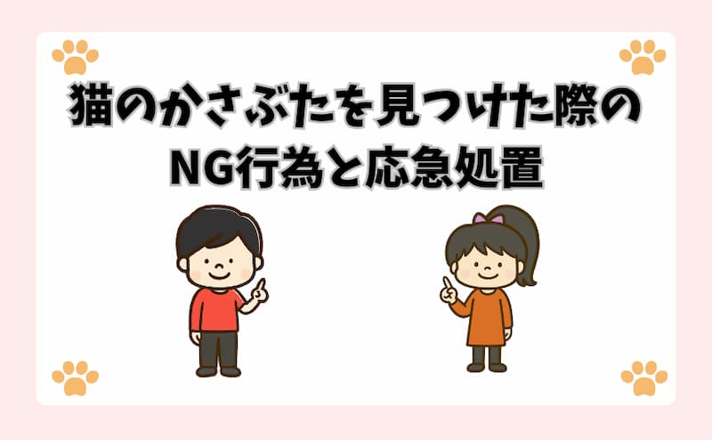 猫のかさぶたを見つけた際のNG行為と応急処置