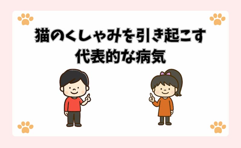 猫のくしゃみを引き起こす代表的な病気