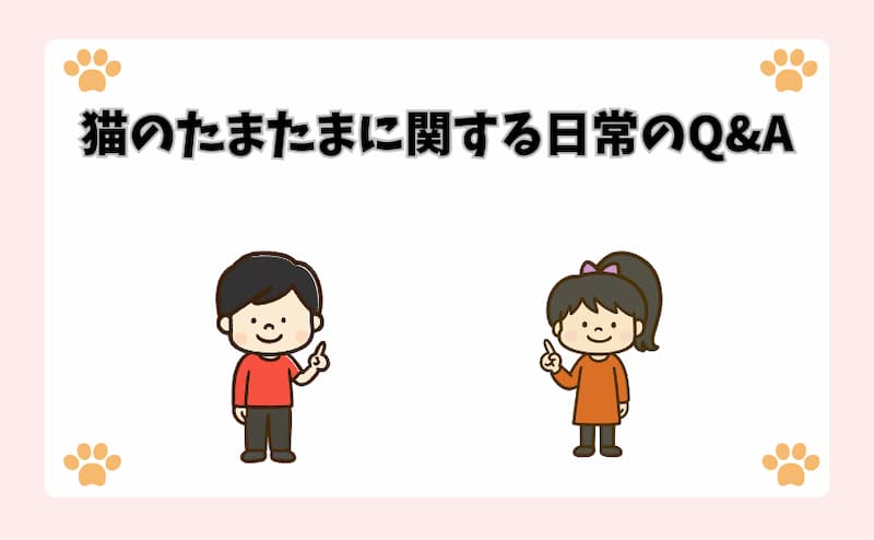 猫のたまたまに関する日常のQ&A