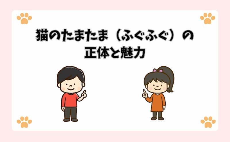 猫のたまたま（ふぐふぐ）の正体と魅力