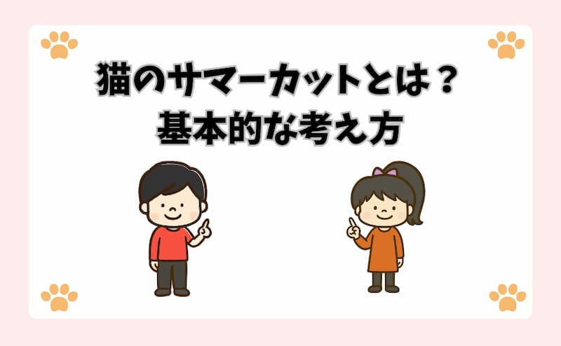猫のサマーカットとは？基本的な考え方