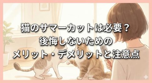 猫のサマーカットは必要？後悔しないためのメリット・デメリットと注意点