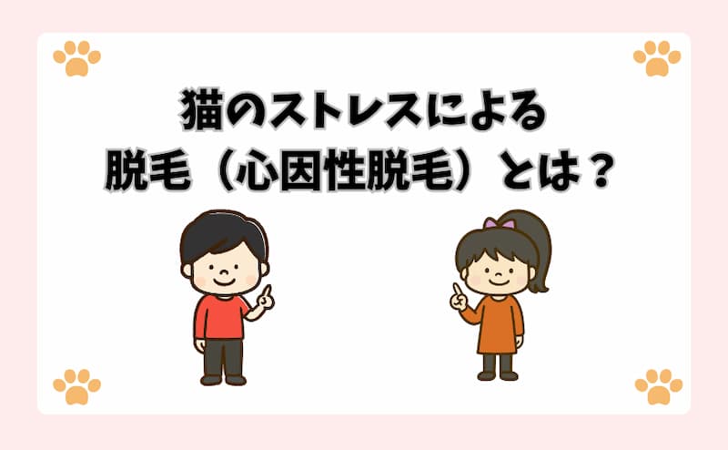 猫のストレスによる脱毛（心因性脱毛）とは？