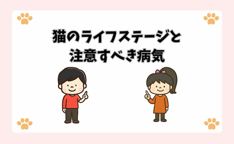 猫のライフステージと注意すべき病気