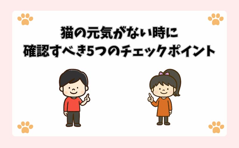 猫の元気がない時に確認すべき5つのチェックポイント