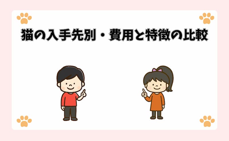 猫の入手先別・費用と特徴の比較