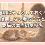 猫の最期はそっとしておくべき？後悔しない看取り方と愛猫の本当の気持ち