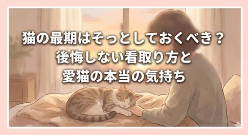 猫の最期はそっとしておくべき？後悔しない看取り方と愛猫の本当の気持ち