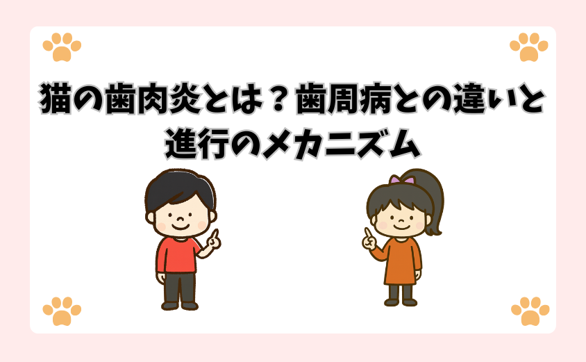 猫の歯肉炎とは？歯周病との違いと進行のメカニズム