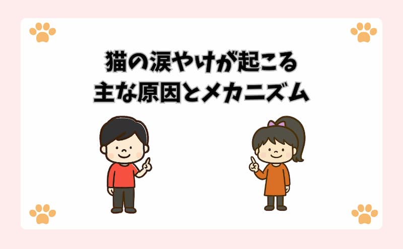 猫の涙やけが起こる主な原因とメカニズム