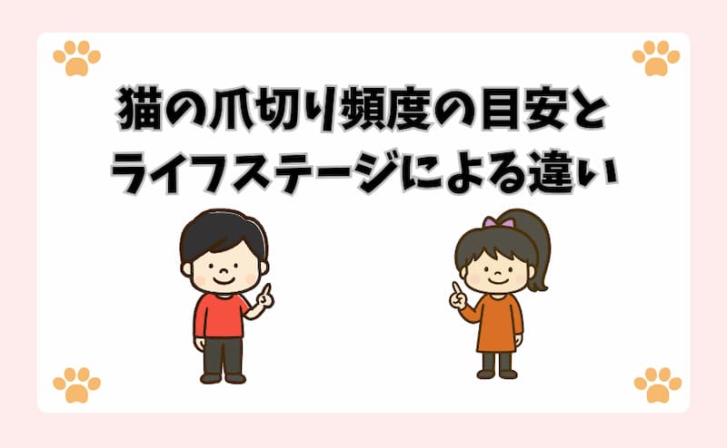 猫の爪切り頻度の目安とライフステージによる違い
