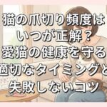 猫の爪切り頻度はいつが正解？愛猫の健康を守る適切なタイミングと失敗しないコツ (1)