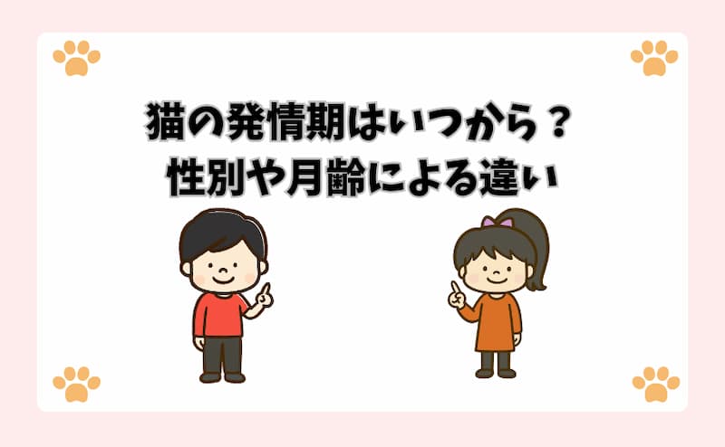 猫の発情期はいつから？性別や月齢による違い