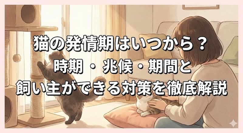 猫の発情期はいつから？時期・兆候・期間と飼い主ができる対策を徹底解説