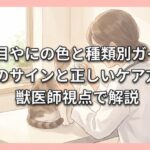 猫の目やにの色と種類別ガイド｜病気のサインと正しいケア方法を獣医師視点で解説