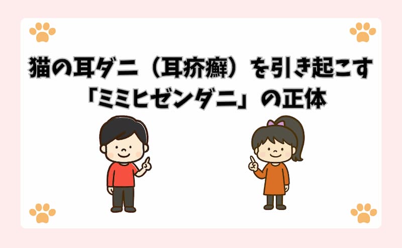 猫の耳ダニ（耳疥癬）を引き起こす「ミミヒゼンダニ」の正体