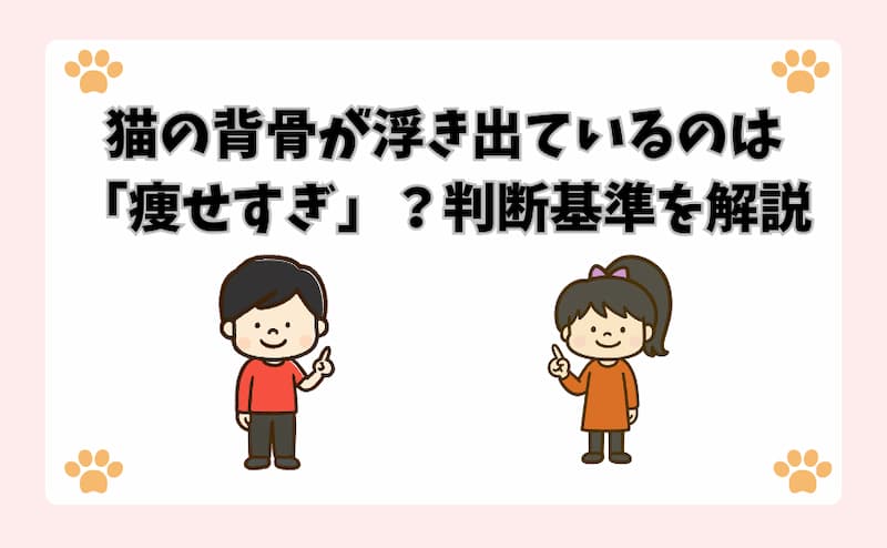 猫の背骨が浮き出ているのは「痩せすぎ」？判断基準を解説