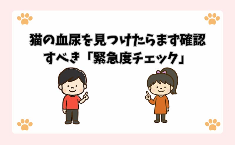 猫の血尿を見つけたらまず確認すべき「緊急度チェック」