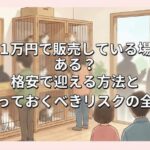 猫を1万円で販売している場所はある？格安で迎える方法と知っておくべきリスクの全貌