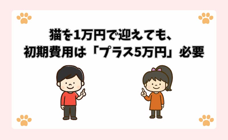猫を1万円で迎えても、初期費用は「プラス5万円」必要