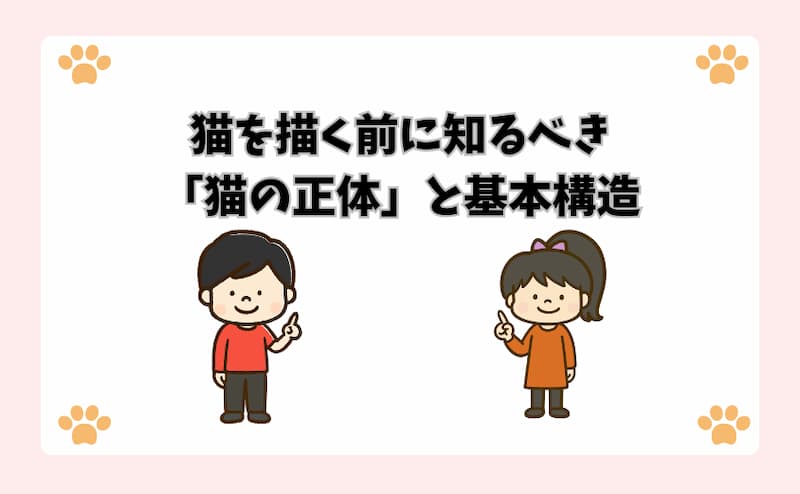 猫を描く前に知るべき「猫の正体」と基本構造