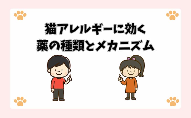 猫アレルギーに効く薬の種類とメカニズム