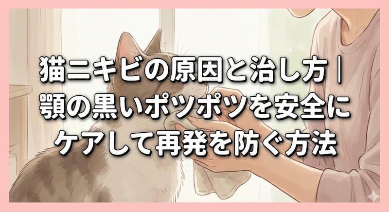 猫ニキビの原因と治し方｜顎の黒いポツポツを安全にケアして再発を防ぐ方法
