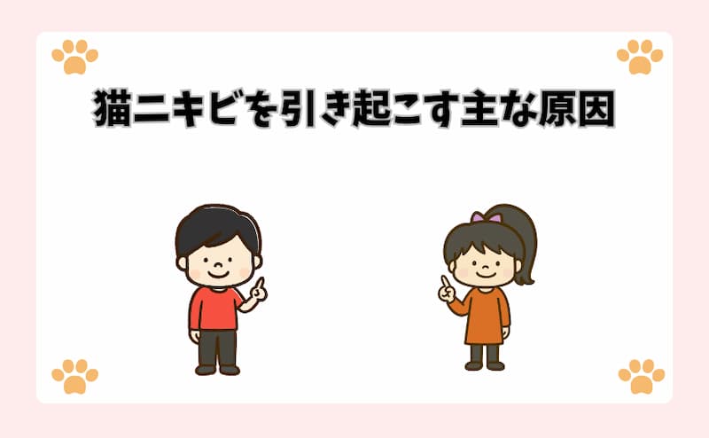 猫ニキビを引き起こす主な原因