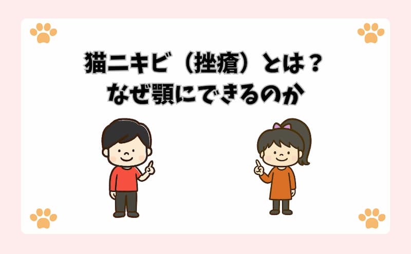 猫ニキビ（挫瘡）とは？なぜ顎にできるのか