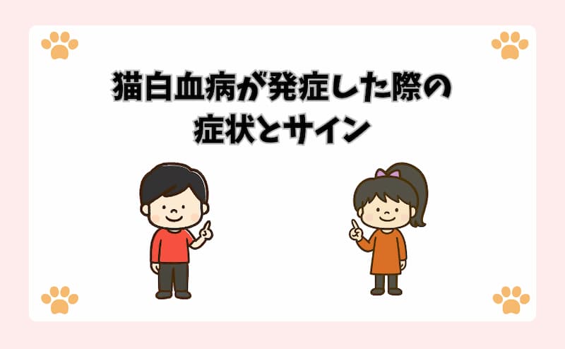 猫白血病が発症した際の症状とサイン