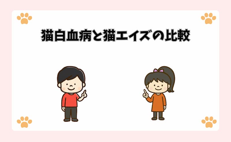 猫白血病と猫エイズの比較